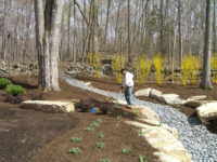 Run-off in this steeply sloped yard in North Stamford was a problem.  Our solution was a decorative drainage swale, lined with boulders, river rock and plantings that tolerate moisture.  This swale neatly contains the run-off and creates a beautiful landscape feature.