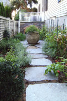 This herb/vegetable garden in Old Greenwich is enhanced by the rustic path constructed of irregular fieldstone stepping stones set in mulch. 