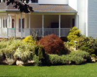 This is another view of the landscaping plantings at the previous residence. 